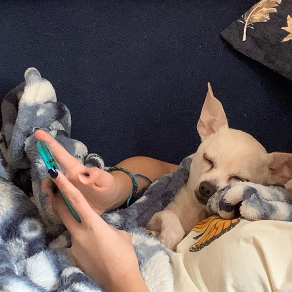 Counting sheep? 🐑 - Picture 6 of 11